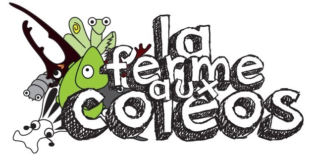 Logos